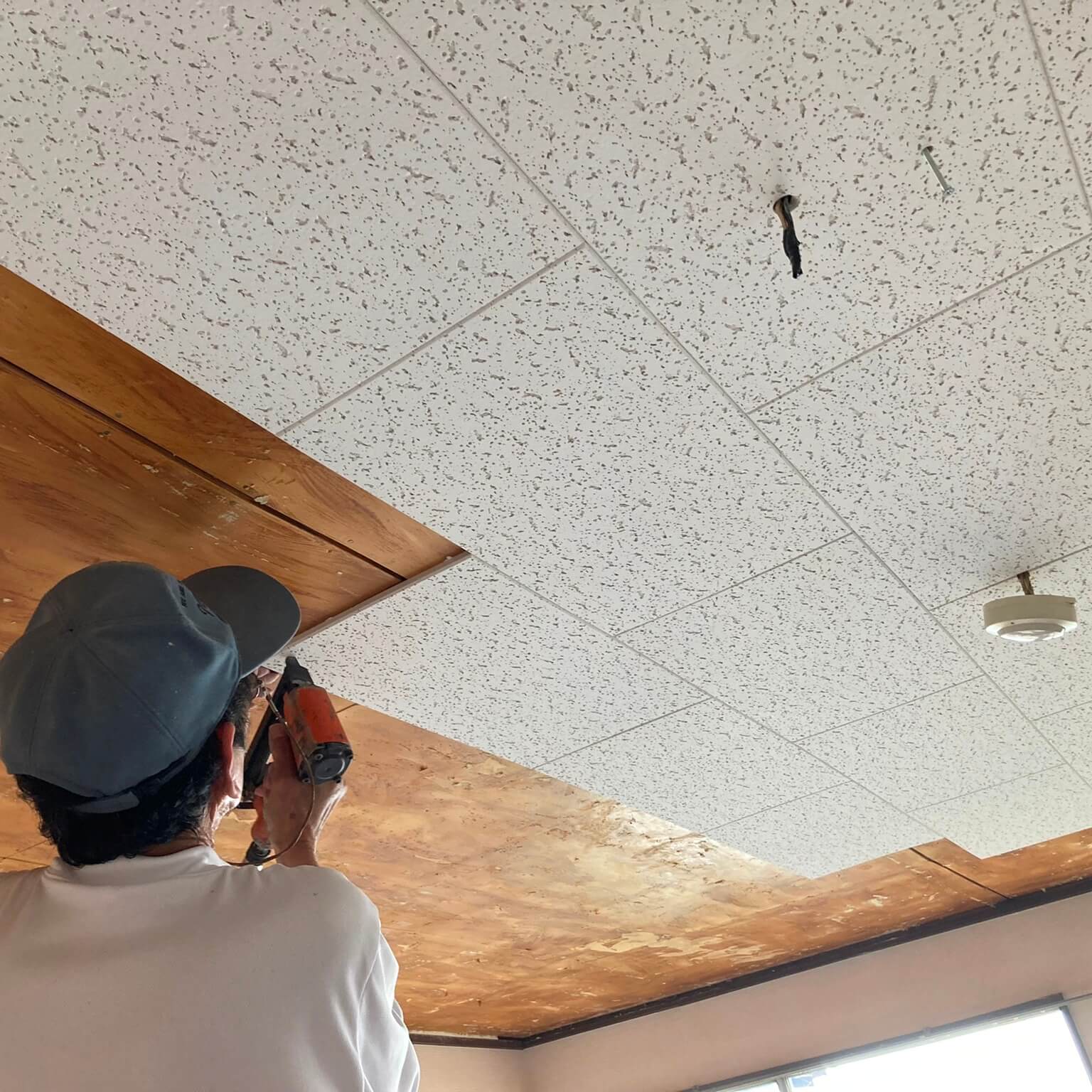 徳島・香川のオフィス内装工事｜天井改修工事（岩綿吸収板の張り替え）